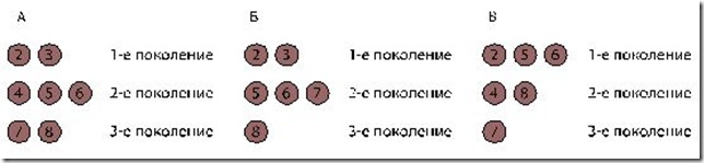 kompress2