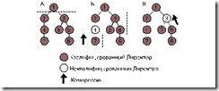 kompress